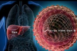 Nhiễm virus viêm gan B thời gian ủ bệnh là bao lâu – bạn đã biết?