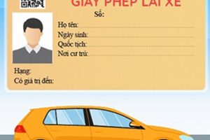 Giấy khám sức khỏe đổi giấy phép lái xe online